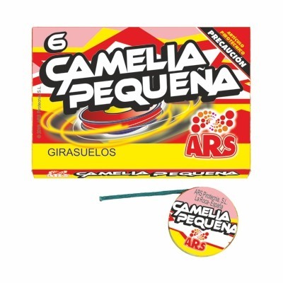 Camelia pequeña 6