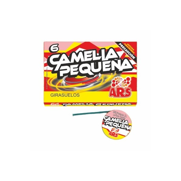 Camelia pequeña 6